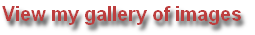 View my gallery of images